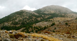 Picón de Gor (2.150 m.)