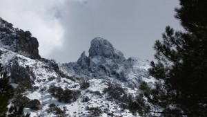 Picacho Alto (1.771 m.)